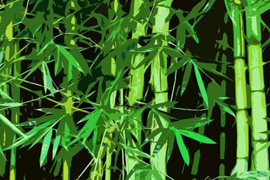 Bamboo Graphic Desktop Wallpapers