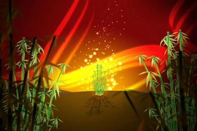 Bamboo Forest Wallpapers   129245