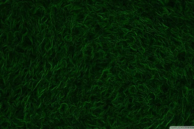 Green Wallpapers 1920X1080   Wallpapers HD Fine