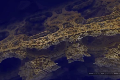 Virtueone   3D Fractal HD Wallpapers Set