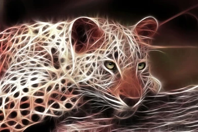 Animals Predator Leopard 3d Fractal Wallpapers