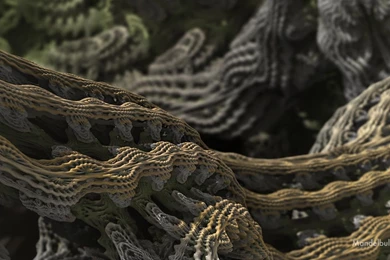 Mandelbulb Wallpapers Downloads