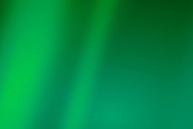 Green Leaf Closeup Wallpapers   Abstract Wallpapers