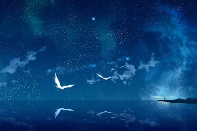 Night Sky Backgrounds