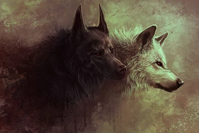 A Burst Of Wolves   HD Wallpapers