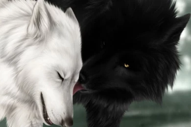 Wallpapers Of Wolves