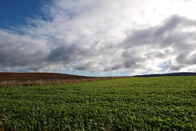 Landscapes Nature Photography Scotland Wallpapers [2]   (