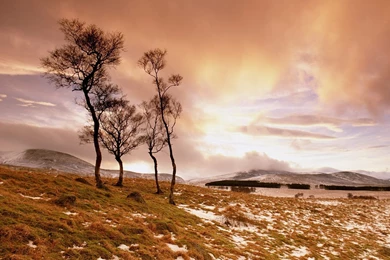 Glen Esk Scotland Wallpapers
