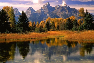 Download Wallpapers 1920x1080 Scotland, Lake, Autumn, Wood, Trees ...