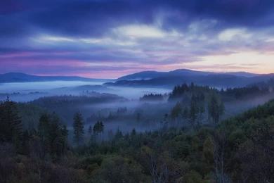 Download Wallpapers 1920x1080 Scotland, Hills, Fog, Trees, Sky Full ...