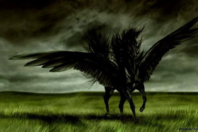 Wallpapers Hd Awesome Angel