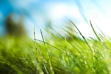 Nature Wallpapers HD Landscape Pictures