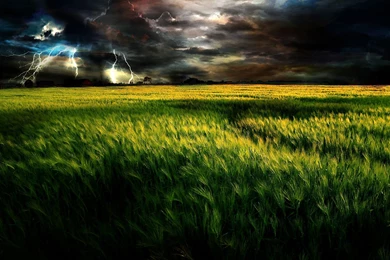 Field HD Wallpapers   HD Wallpaper Backgrounds Of Your Choice