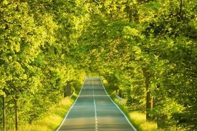 Wallpapers Nature Free Photos: Nature Iphone Wallpapers