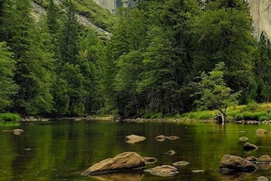 Beautiful Nature iphone 5 wallpaper ilikewallpaper_com.jpg (640 ...