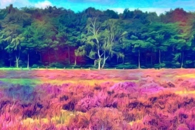 iPhone 4S, 4 Nature Wallpapers HD, Desktop Backgrounds 640x960 ...