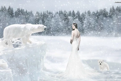 Snow Wallpapers Hd Wallpapers ›› Page 0