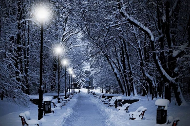 Park Winter Twilight Lamps Snow Benches Path Hd Wallpapers