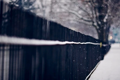 Beautiful Girl, Jacket, Blogger Fashion, Winter, Snow, Hd, Wallpapers