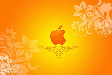 Orange Wallpapers 3514 Backgrounds Cool Wallnos.com