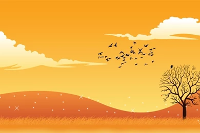 Orange Wallpapers 3096 Desktop Pictures   Wallnos.com