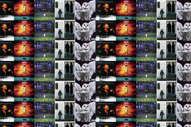 Soundgarden Superunknown Brand New Deja Entendu Daisy Wallpapers ...