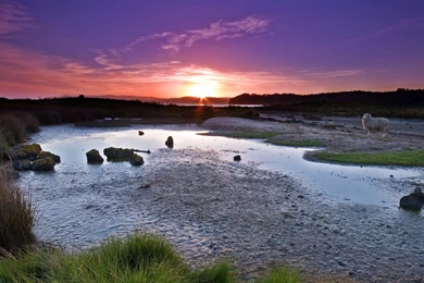 100 Best Nature Full HD Wallpapers 1920x1080p   Photo 30 Of 91 ...