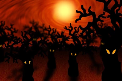 Forest On Halloween Wallpapers Holiday Wallpapers
