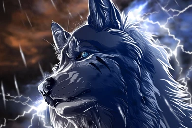 Anime Wolf Wallpapers HD