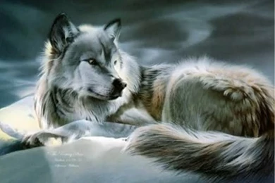 Wolf Anime Wallpapers