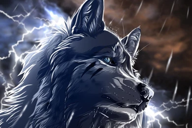 White wolf wallpapers