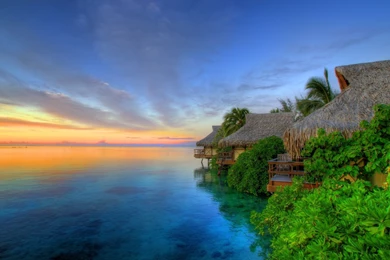 Nature Archives   Page 4 Of 15   HD Wallpapers Source