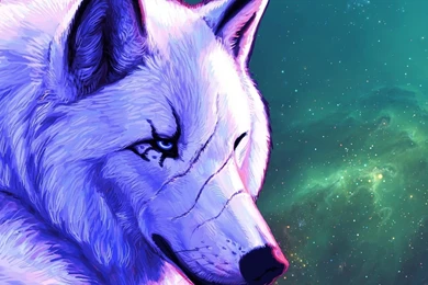 Wolf Wallpapers