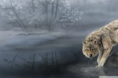 Wolf Drinking Water Painting HD Desktop Wallpapers : High ...