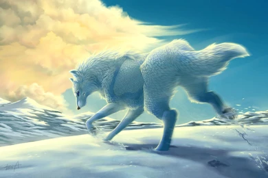 Snow, Wolf Wallpapers And Images   Wallpapers, Pictures, Photos