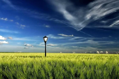 Desktop Wallpapers · Gallery · HD Notebook · Grass Field Laptop ...
