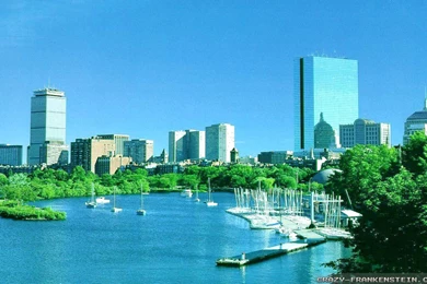 Summer In Australia Wallpapers   Crazy Frankenstein