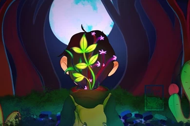 My Laptop Wallpapers By Alfonshots On DeviantArt