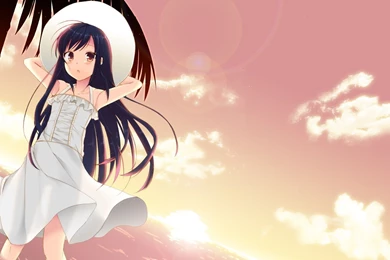 Accel World Free Wallpapers (62 Photos) For Your Desktop, Download ...