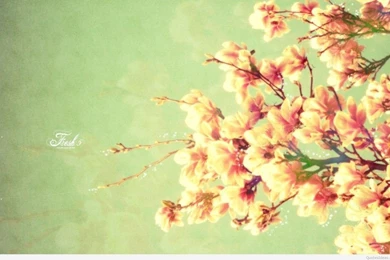 Cool Ipad Wallpapers For Girls   Wallpapers