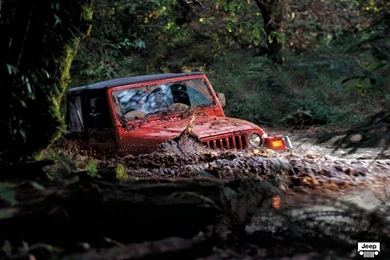 Jeep Wrangler Wallpapers HD   Image