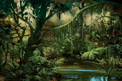Jungle Backgrounds