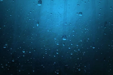 Wallpapers55.com   Best Wallpapers For PCs, Laptops, Smartphones ...