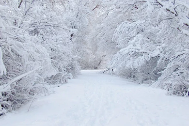 Beautiful Winter Wallpapers In Best Quality   Snow Landscapes At ...