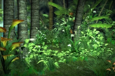 Jungle Backgrounds By Lil Mz On DeviantArt