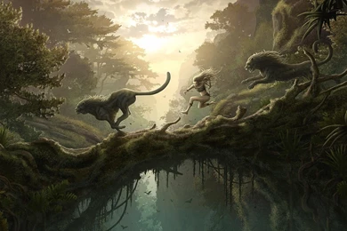 Running Animals Fantasy Wallpapers