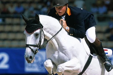 Equestrian Wallpapers