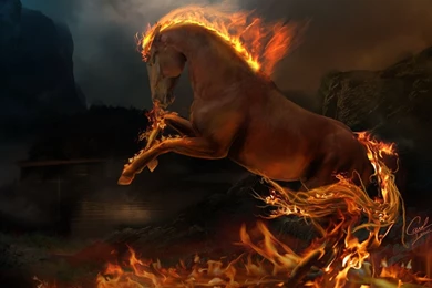 Horse Jumping, Fire, 1920x1080 HD Wallpapers And FREE Stock Photo