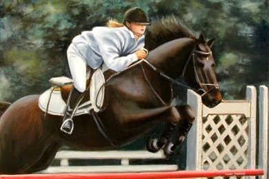 Top Jumping Horse Computer Wallpaper Images For Pinterest