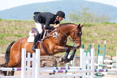9 Show Jumping HD Wallpapers